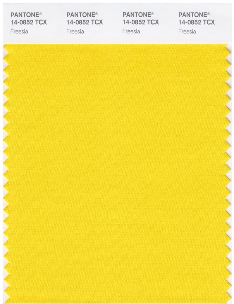 その他 PANTONE for fashion and  COLOR CARD 18-2120_honeysuckle_1_grande.