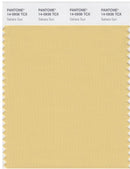 Pantone Smart 14-0936 TCX Color Swatch Card | Sahara Sun