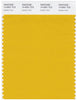 Pantone Smart 14-0951 TCX Color Swatch Card | Golden Rod