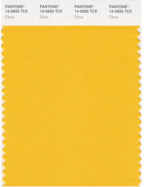 Pantone Smart 14-0955 TCX Color Swatch Card | Citrus | Magazine