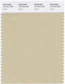 Pantone Smart 14-1014 TCX Color Swatch Card | Gravel