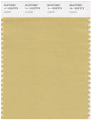 Pantone Smart 14-1025 TCX Color Swatch Card | Cocoon