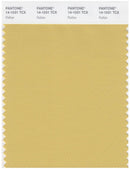 Pantone Smart 14-1031 TCX Color Swatch Card | Rattan