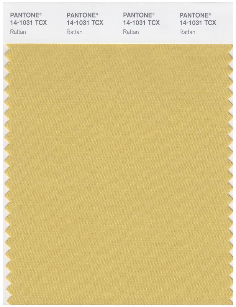 Color Code 10141p Pantone Smart 14-1031 TCX Color Swatch Card | Rattan | Magazine Cafe ...
