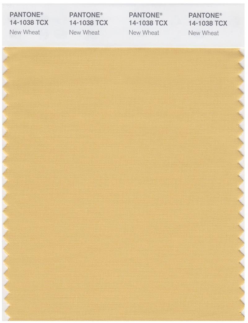 Pantone Smart 14-1038 TCX Color Swatch Card | New Wheat | Magazine Cafe ...