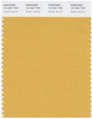 Pantone Smart 14-1041 TCX Color Swatch Card | Golden Apricot
