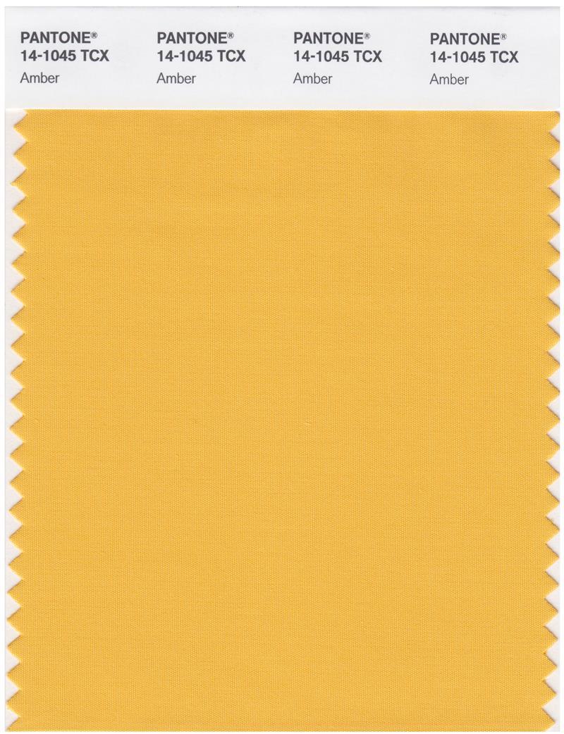 Pantone Smart 14-1045 TCX Color Swatch Card | Amber | Magazine Cafe ...