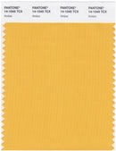 Pantone Smart 14-1045 TCX Color Swatch Card | Amber