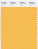 Pantone Smart 14-1050 TCX Color Swatch Card | Marigold