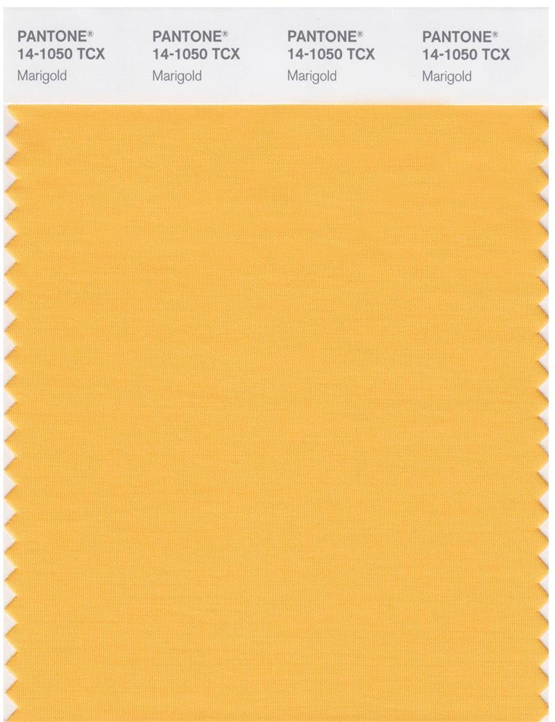 Pantone Smart 14-1050 TCX Color Swatch Card | Marigold