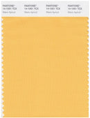 Pantone Smart 14-1051 TCX Color Swatch Card | Warm Apricot