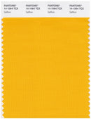 Pantone Smart 14-1064 TCX Color Swatch Card | Saffron