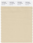 Pantone Smart 14-1108 TCX Color Swatch Card | Wood Ash