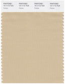 Pantone Smart 14-1112 TCX Color Swatch Card | Pebble