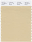 Pantone Smart 14-1113 TCX Color Swatch Card | Marzipan