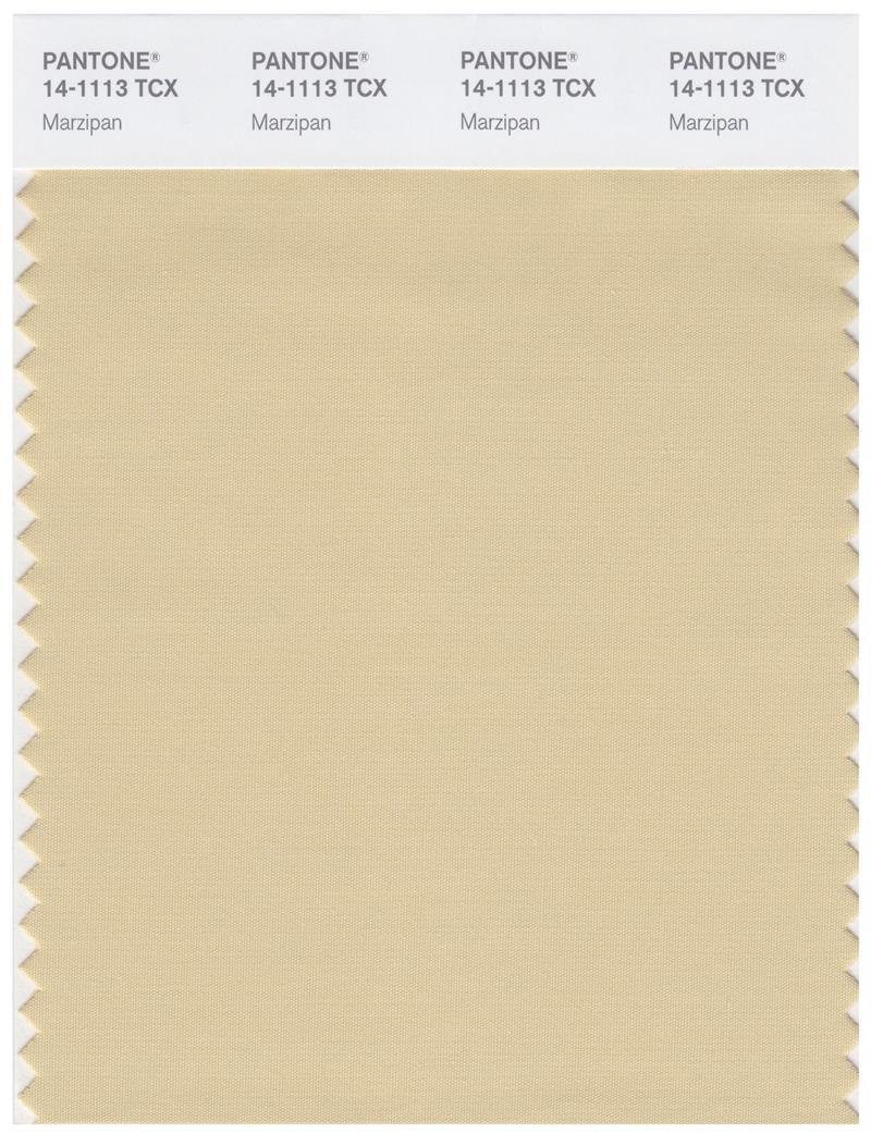 Pantone Smart 14-1113 TCX Color Swatch Card | Marzipan