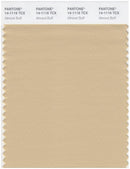 Pantone Smart 14-1116 TCX Color Swatch Card | Almond Buff