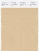 Pantone Smart 14-1118 TCX Color Swatch Card | Beige