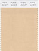 Pantone Smart 14-1119 TCX Color Swatch Card | Winter Wheat