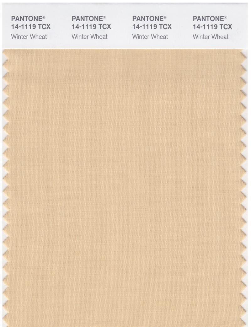 Pantone Smart 14-1119 TCX Color Swatch Card | Winter Wheat