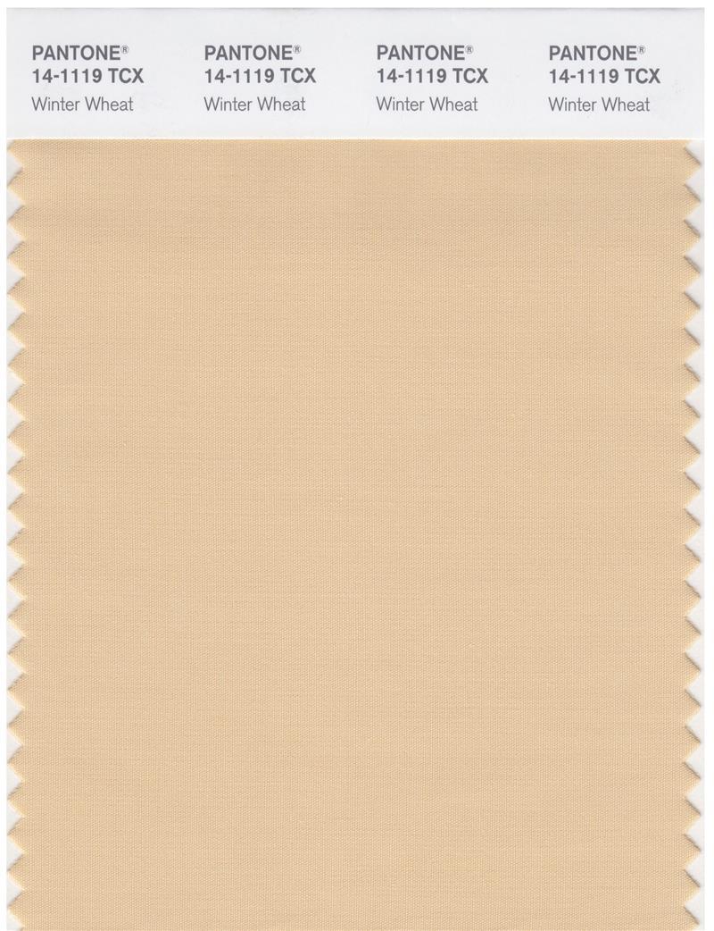 Pantone Smart 14-1119 TCX Color Swatch Card | Winter Wheat