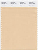 Pantone Smart 14-1120 TCX Color Swatch Card | Apricot Illusion