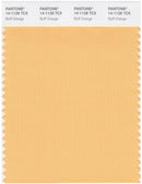 Pantone Smart 14-1128 TCX Color Swatch Card | Buff Orange