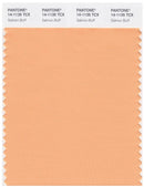 Pantone Smart 14-1135 TCX Color Swatch Card | Salmon Buff