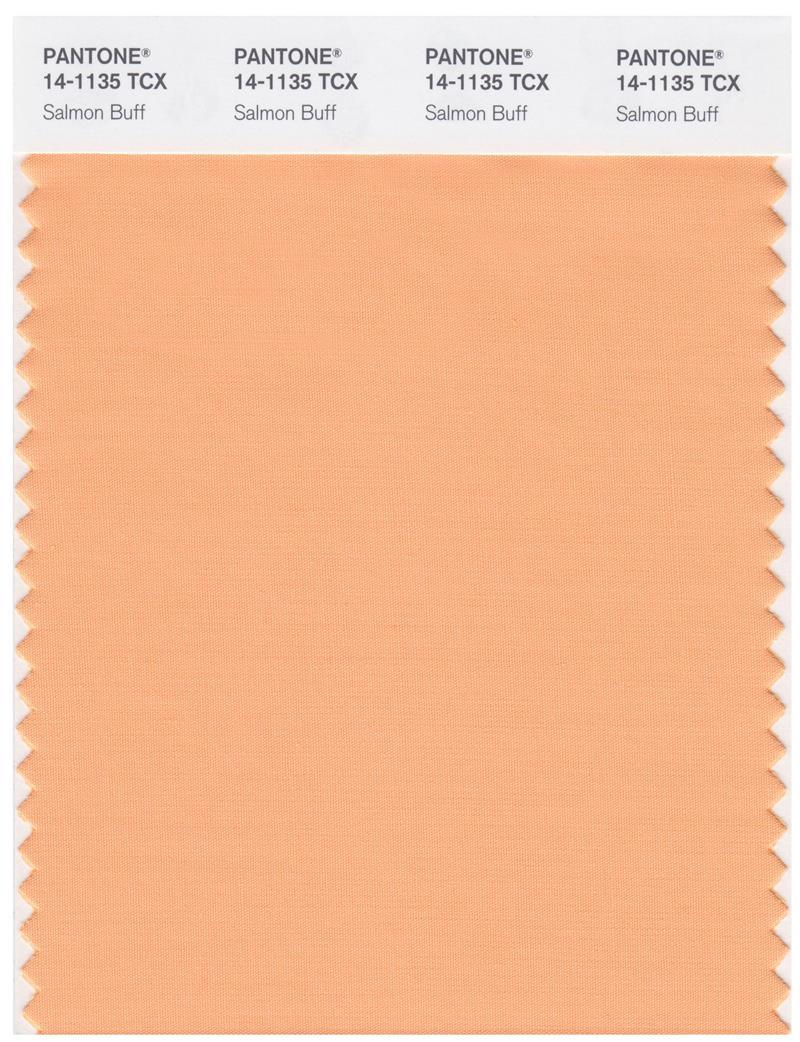 Pantone Smart 14-1135 TCX Color Swatch Card | Salmon Buff