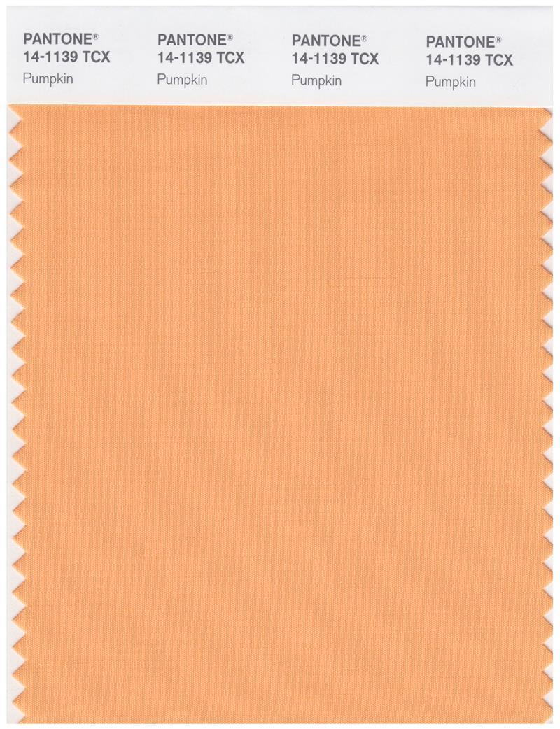 Pantone Smart 14-1139 TCX Color Swatch Card | Pumpkin