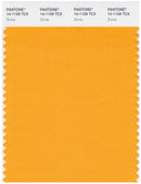 Pantone Smart 14-1159 TCX Color Swatch Card | Zinnia