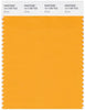 Pantone Smart 14-1159 TCX Color Swatch Card | Zinnia