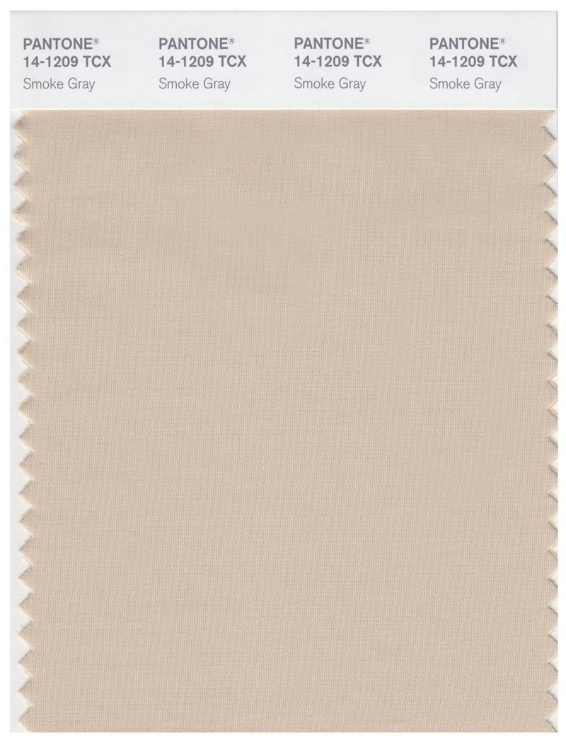 その他 PANTONE for fashion and  COLOR CARD Pantone Smart 15-1237 TCX Color Swatch Card | Apricot Tan