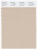 Pantone Smart 14-1209 TCX Color Swatch Card | Smoke Gray
