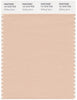 Pantone Smart 14-1210 TCX Color Swatch Card | Shifting Sand