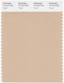 Pantone Smart 14-1212 TCX Color Swatch Card | Frappe
