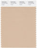 Pantone Smart 14-1212 TCX Color Swatch Card | Frappe