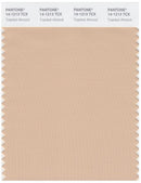 Pantone Smart 14-1213 TCX Color Swatch Card | Toasted Almond