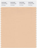 Pantone Smart 14-1217 TCX Color Swatch Card | Amberlight