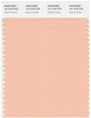 Pantone Smart 14-1219 TCX Color Swatch Card | Peach Parfait