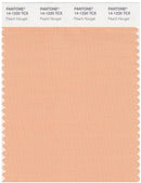 Pantone Smart 14-1220 TCX Color Swatch Card | Peach Nougat