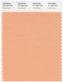 Pantone Smart 14-1224 TCX Color Swatch Card | Coral Sands