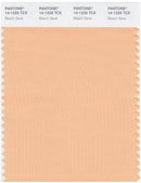 Pantone Smart 14-1225 TCX Color Swatch Card | Beach Sand