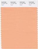 Pantone Smart 14-1227 TCX Color Swatch Card | Peach