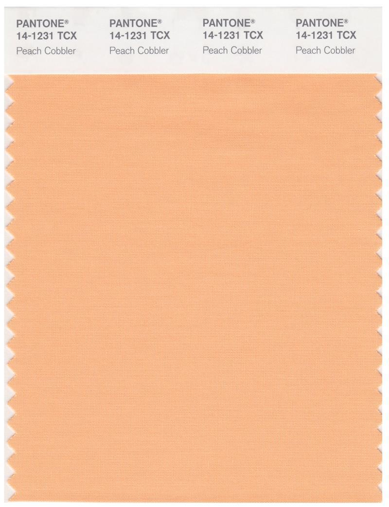 パントーンPANTONE色見本coated PANTONE® USA | PANTONE® 15-1231 TCX - Find a Pantone Color