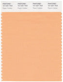 Pantone Smart 14-1231 TCX Color Swatch Card | Peach Cobbler
