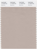 Pantone Smart 14-1305 TCX Color Swatch Card | Mushroom