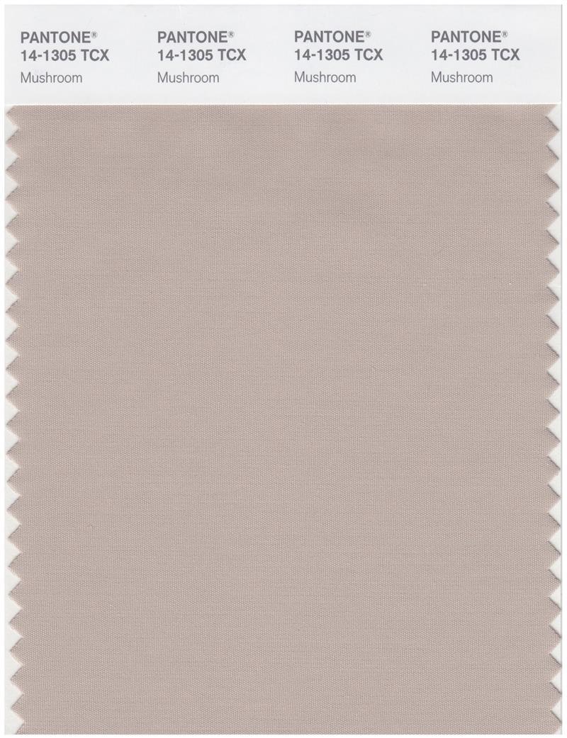 Pantone Smart 14-1305 TCX Color Swatch Card | Mushroom