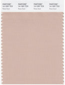 Pantone Smart 14-1307 TCX Color Swatch Card | Rose Dust