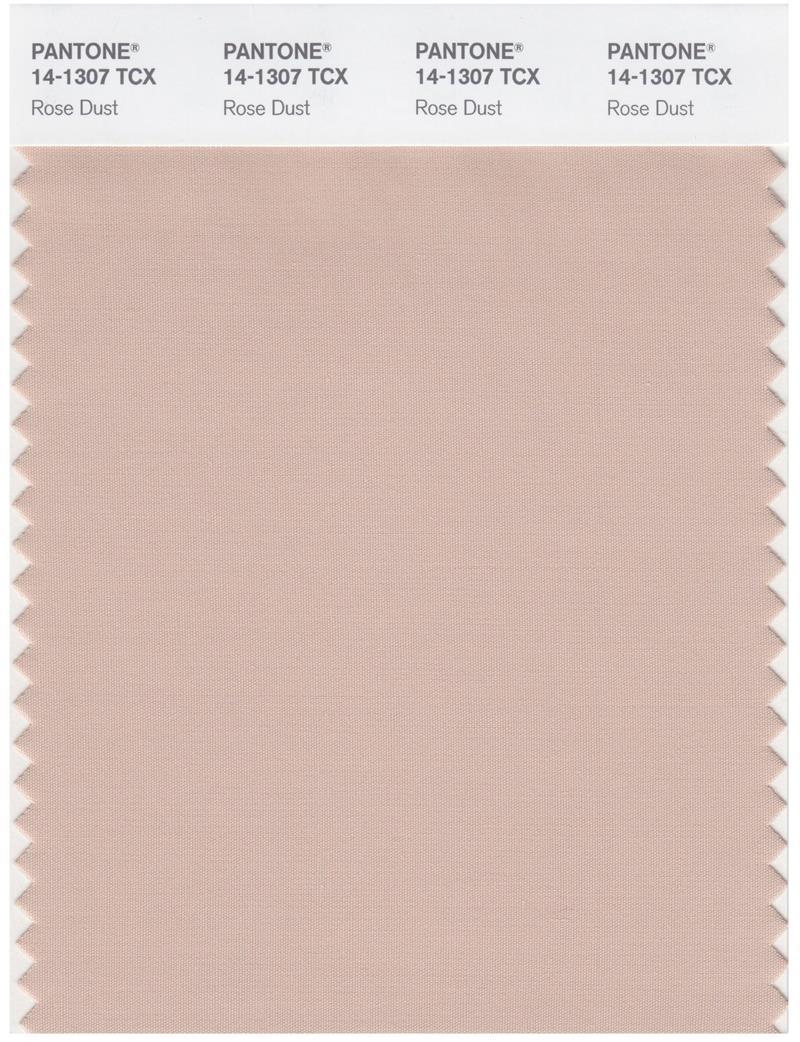 Pantone Smart 14-1307 TCX Color Swatch Card | Rose Dust